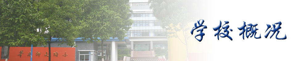 学校概况
